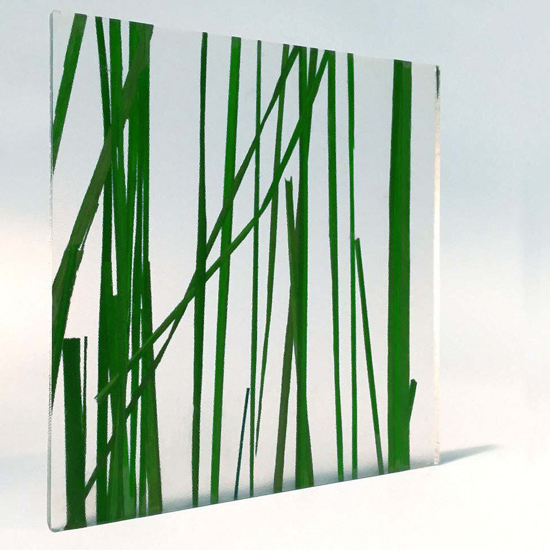 Picture of Tall Grass